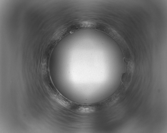 X0000081570557200701221055