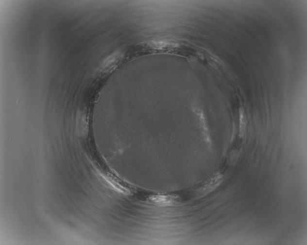 X0000081570558200701221055