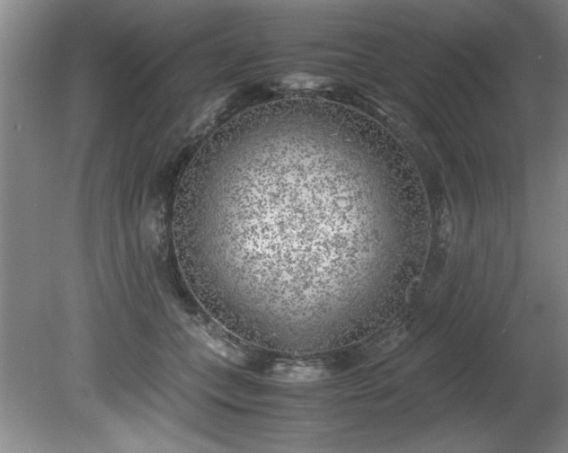 X0000081570559200701221056