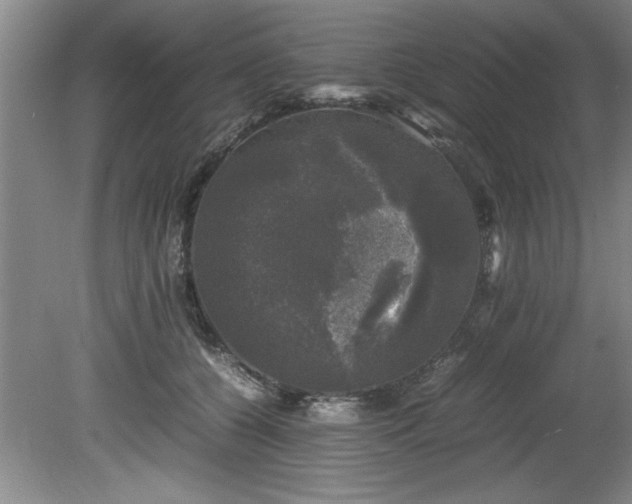 X0000081570560200701221056