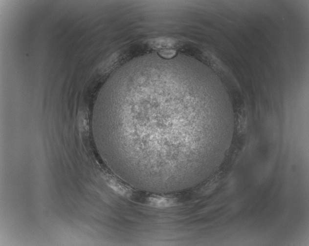 X0000081570561200701221056