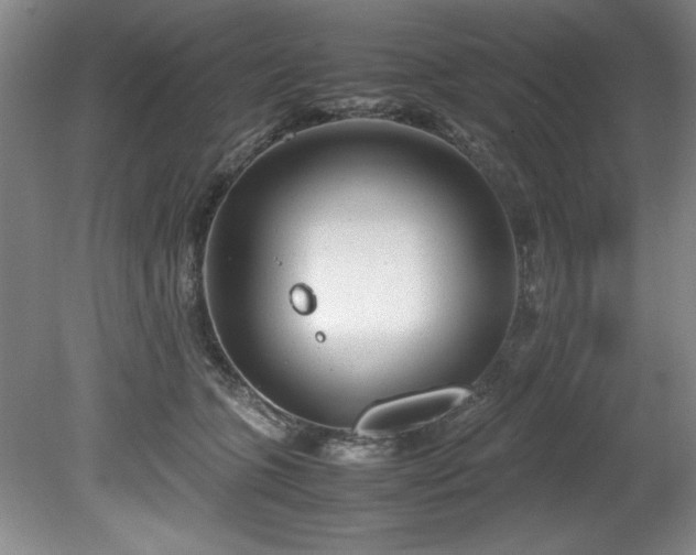 X0000081570563200701221056