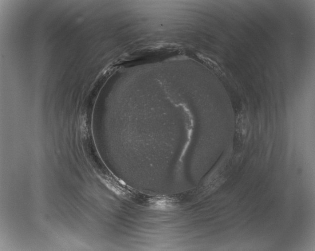 X0000081570564200701221056