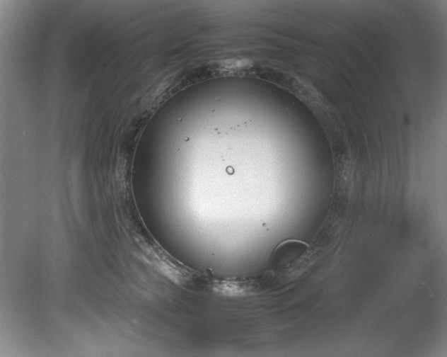 X0000081570565200701221056