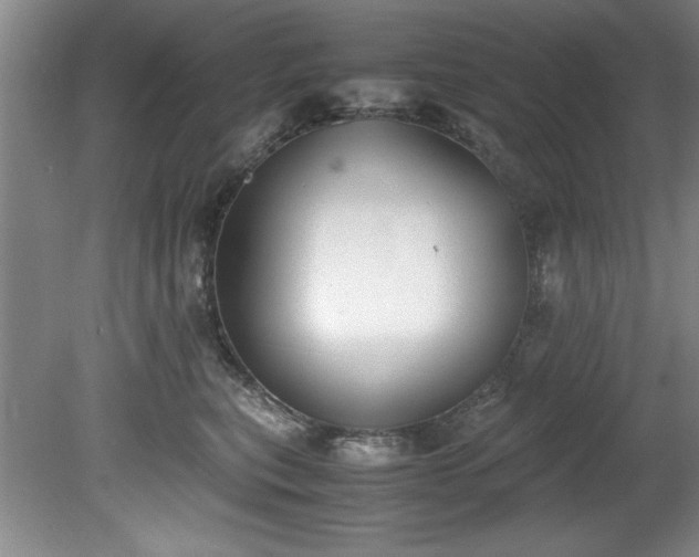 X0000081570567200701221056