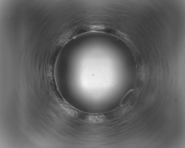 X0000081570571200701221056