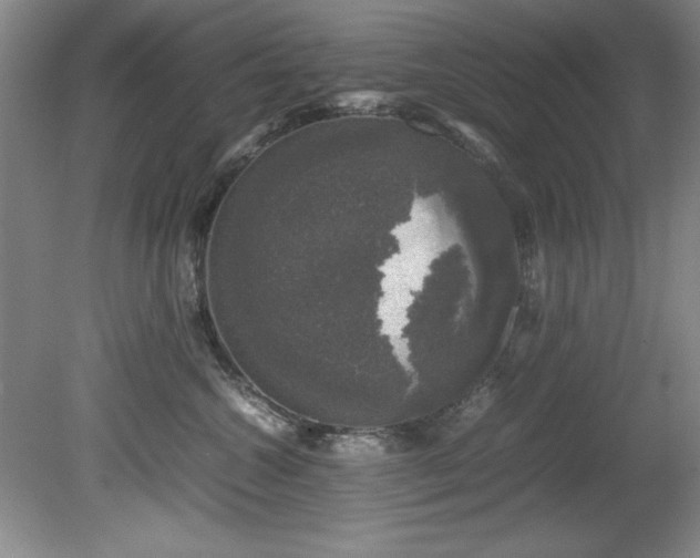 X0000081570572200701221056