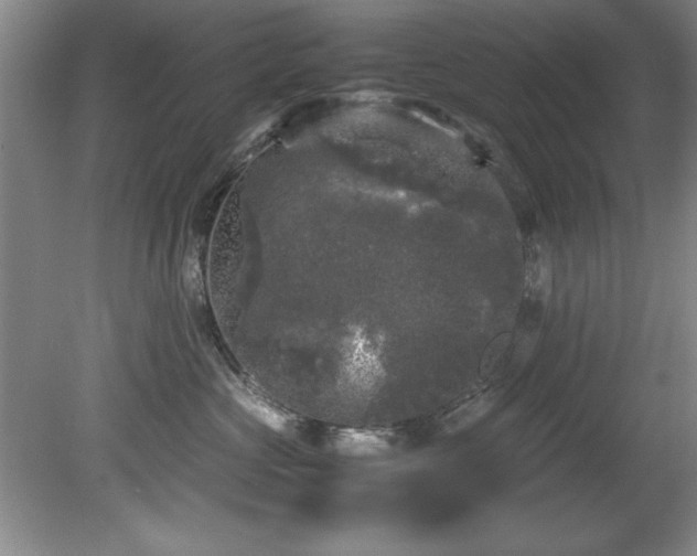 X0000081570573200701221056