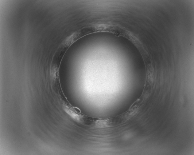 X0000081570574200701221056