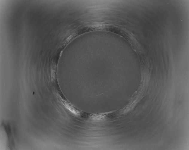 X0000081570576200701221056