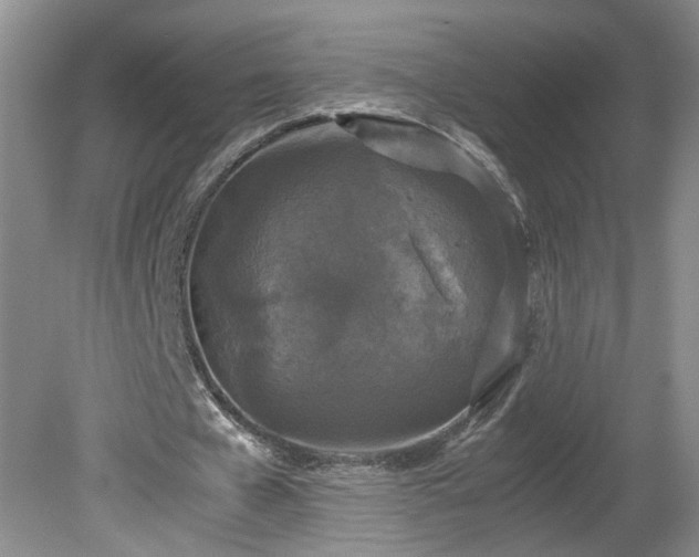 X0000081570577200701221055