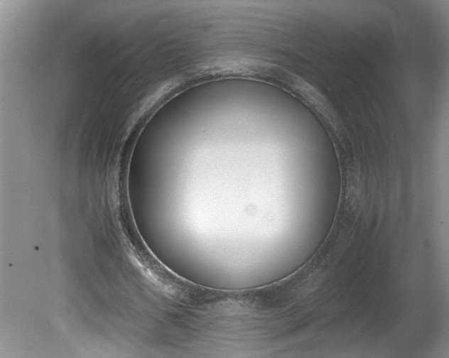 X0000081570578200701221055