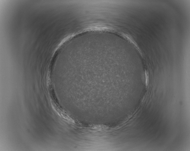 X0000081570579200701221055