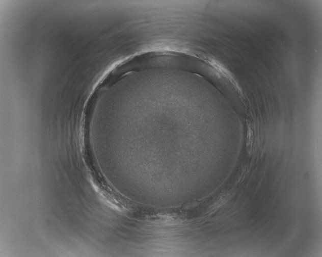 X0000081570580200701221055