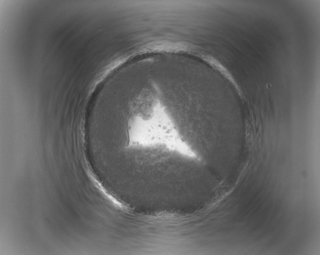 X0000081570581200701221055