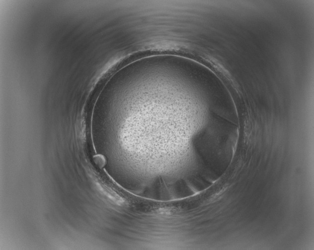 X0000081570584200701221055