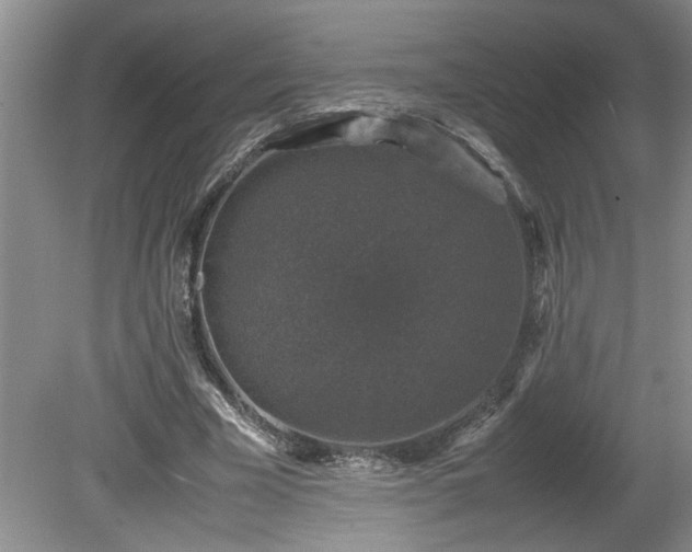 X0000081570585200701221055