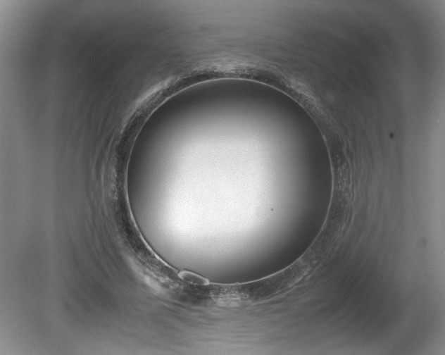 X0000081570587200701221055