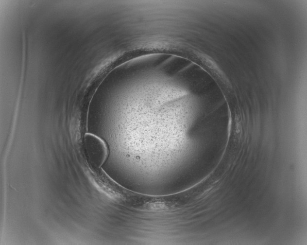 X0000081570588200701221055