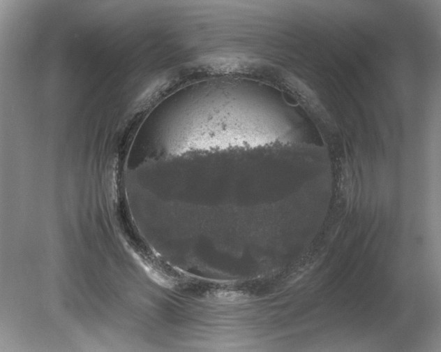 X0000081570590200701221055