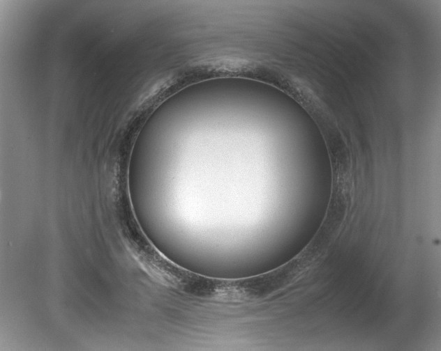 X0000081570591200701221055