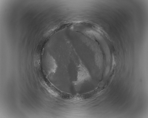 X0000081570593200701221055