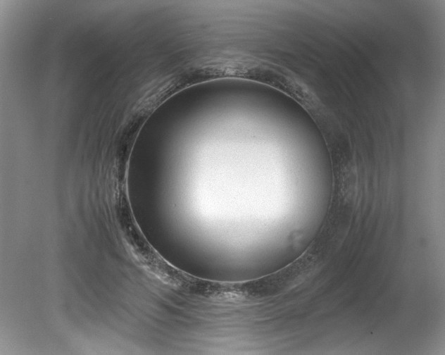 X0000081570594200701221055