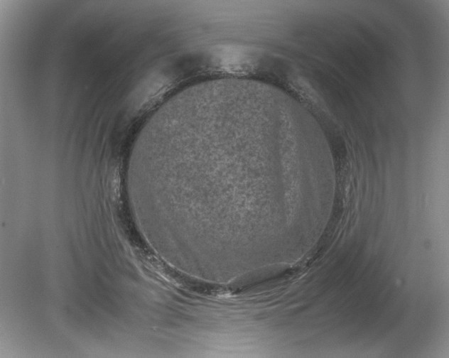 X0000081570595200701221055