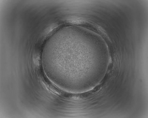 X0000081570596200701221055