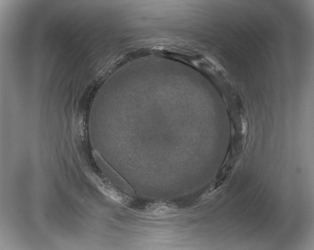 X0000081570597200701221055