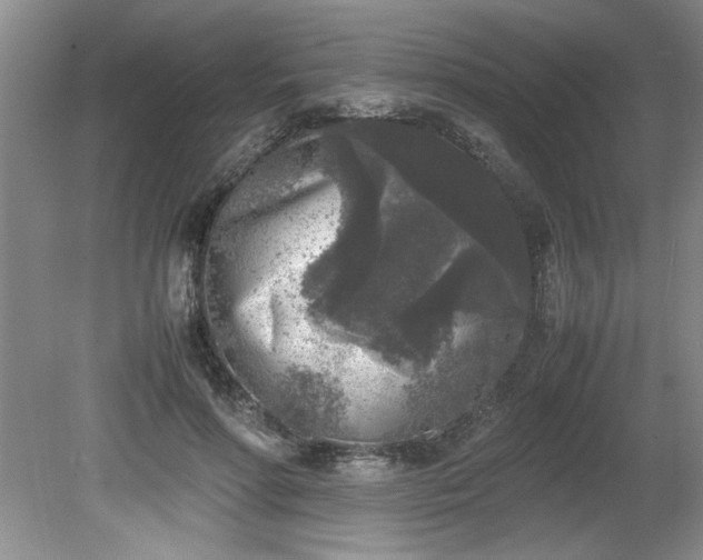 X0000081570598200701221055