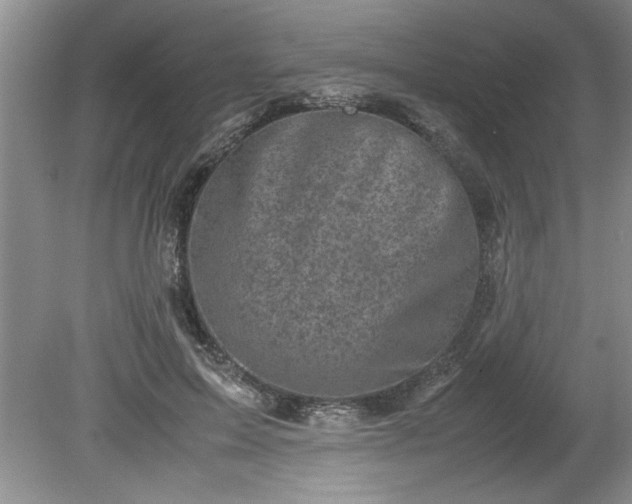 X0000081570599200701221055