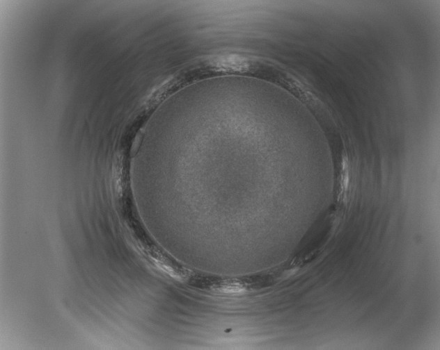 X0000081570600200701221055