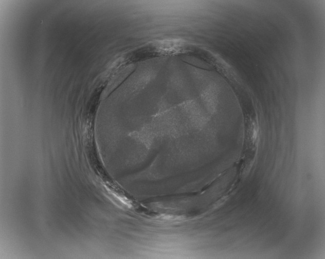 X0000081570601200701221055