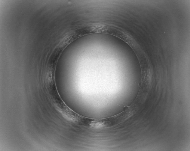 X0000081570602200701221055