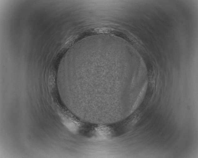 X0000081570603200701221055