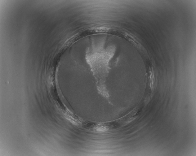 X0000081570604200701221055