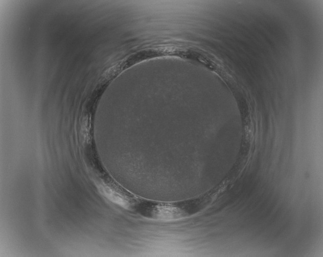 X0000081570605200701221055