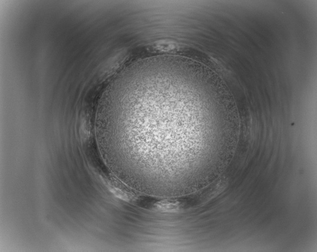 X0000081570606200701221054