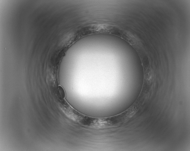 X0000081570607200701221054