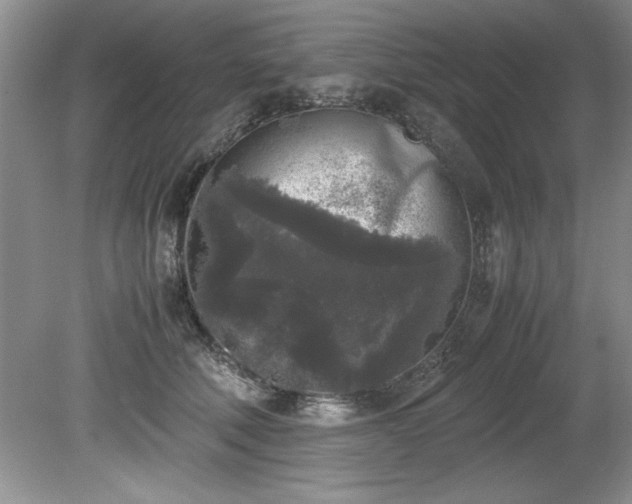 X0000081570610200701221054