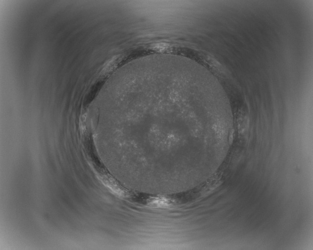 X0000081570611200701221054