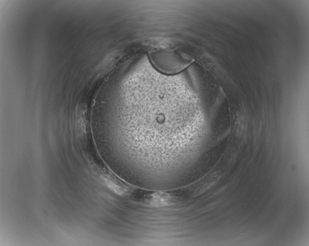 X0000081570612200701221054