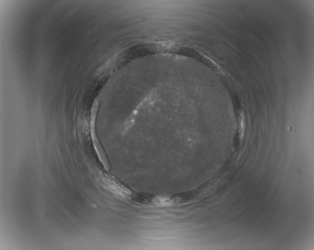 X0000081570613200701221054