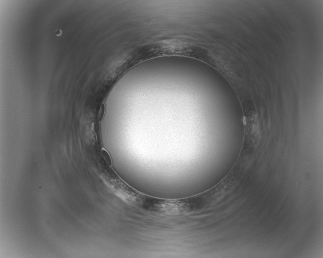 X0000081570615200701221054