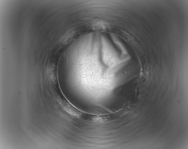 X0000081570616200701221054