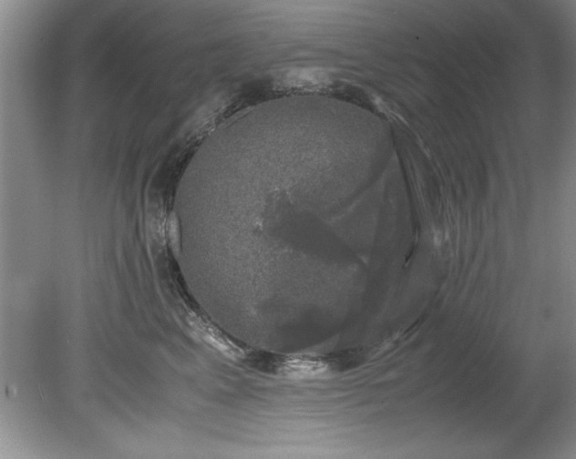 X0000081570617200701221054