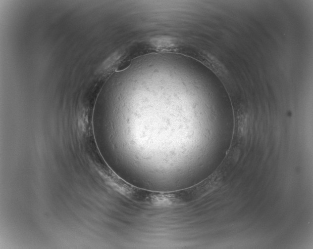 X0000081570618200701221054