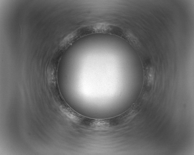 X0000081570619200701221054