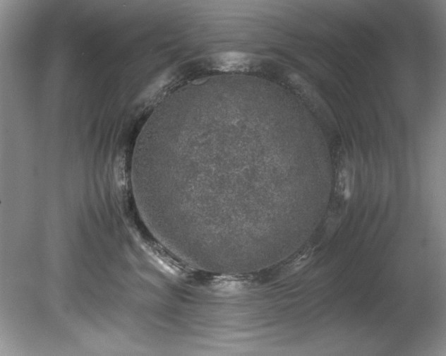 X0000081570620200701221054